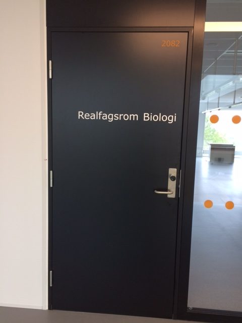 Bardufoss videregående skole - Bilde 19